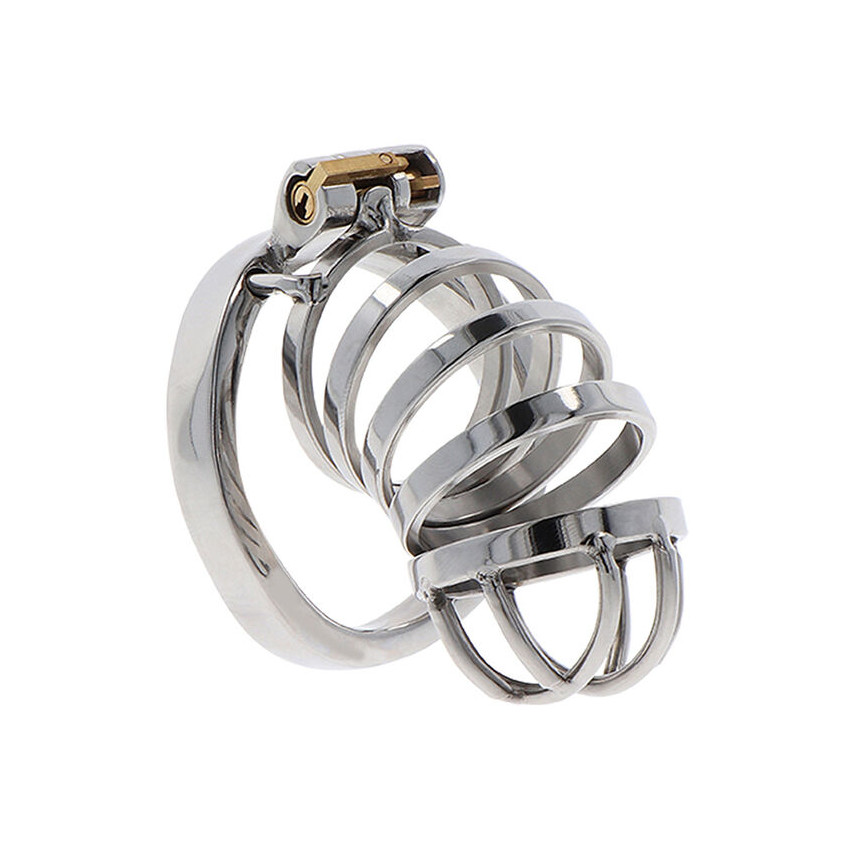 Hidden Desire - Extreme Chastity Cock Cage Metal